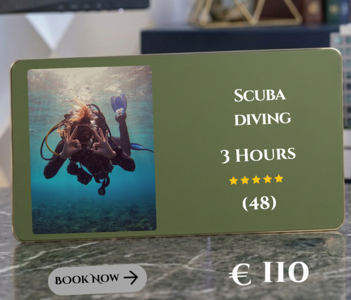 Scuba Diving