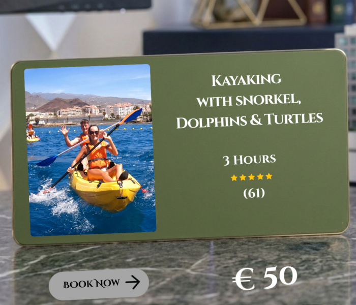 Kayacking, Snokeling, Dolphins and Turtles