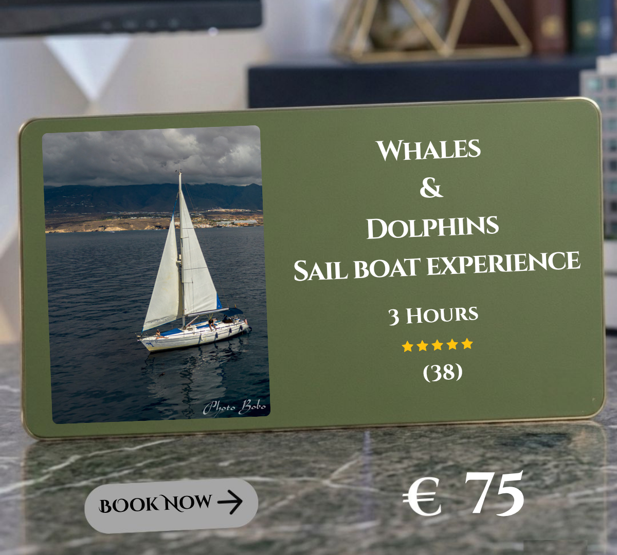 Whales & Dolphins in a Sail Boat