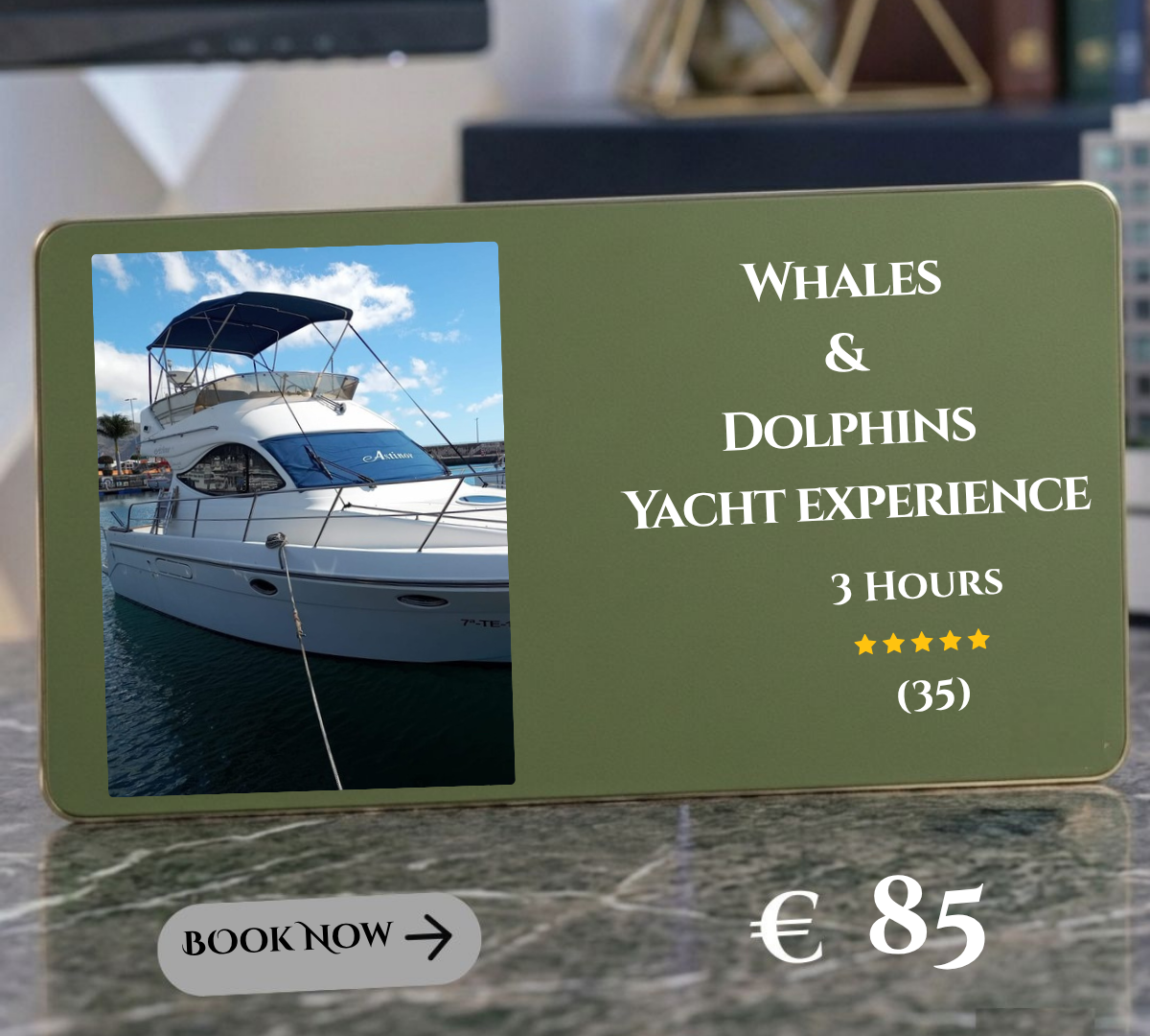 Whales & Dolphins in a Yacht