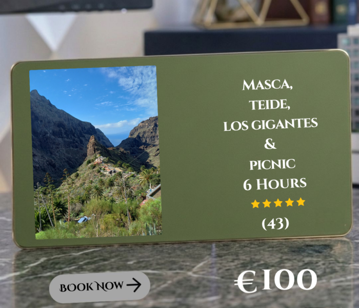 Masca, Teide, Los Gigantes & Picnic