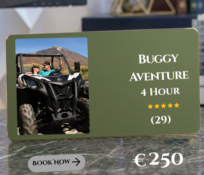 Buggy Adventure