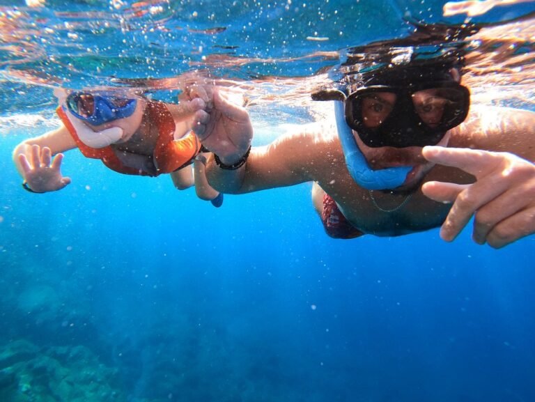 Kayak, snorkel & turtles