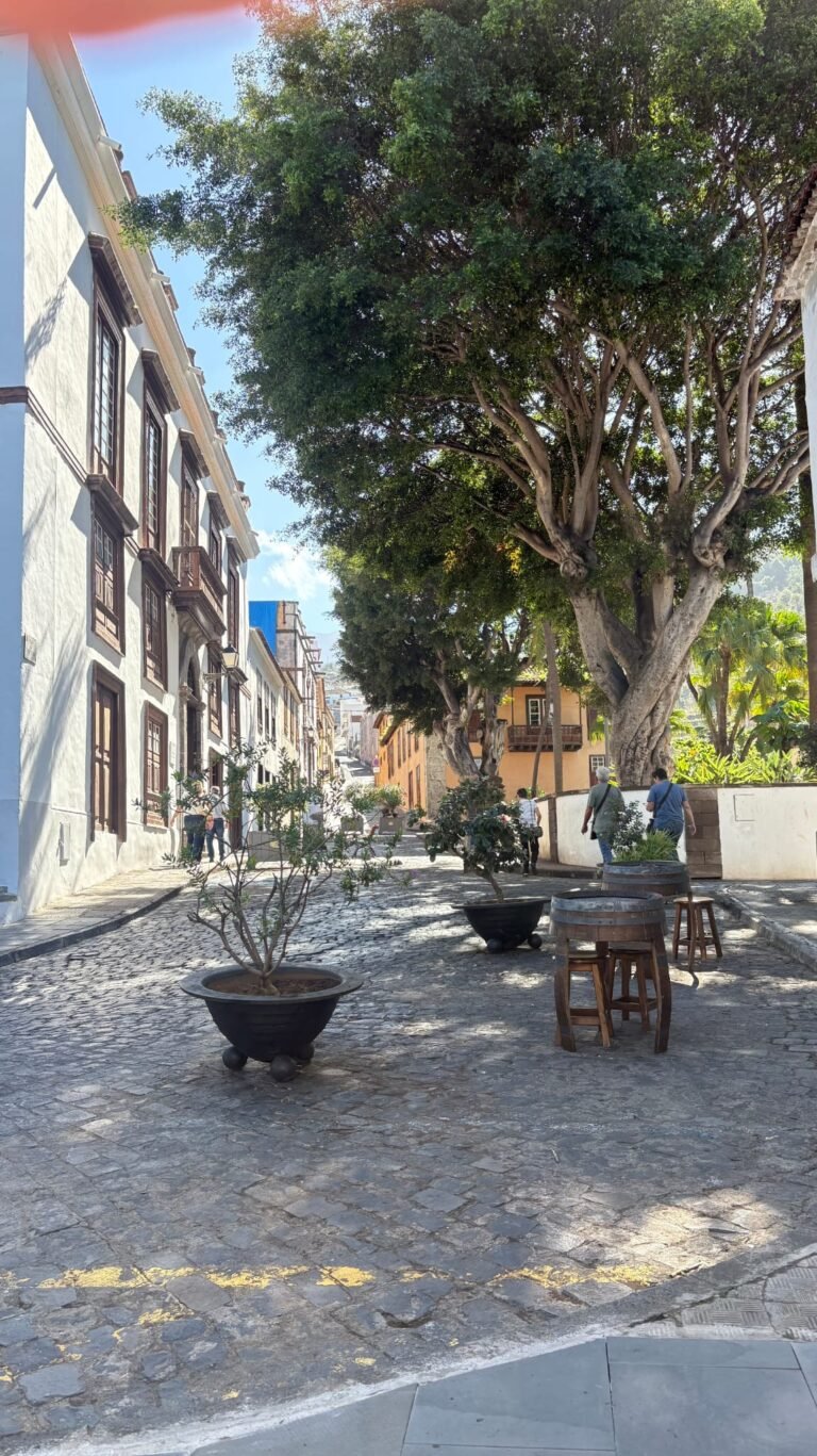 Private Garachico, Icod de los vinos & wine tasting