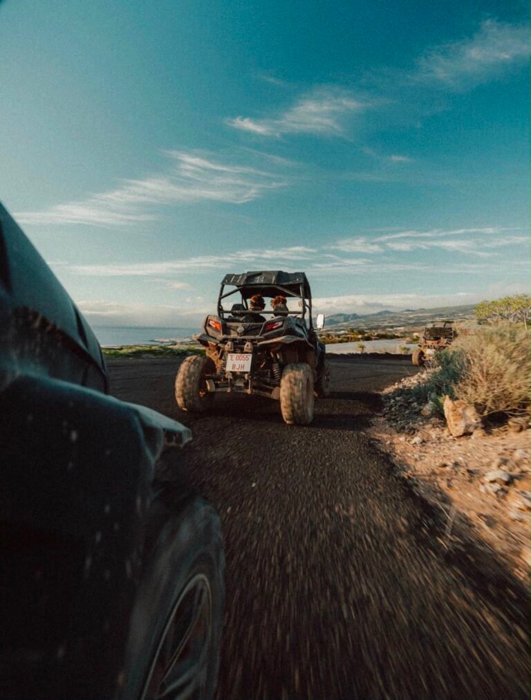 Buggy adventure