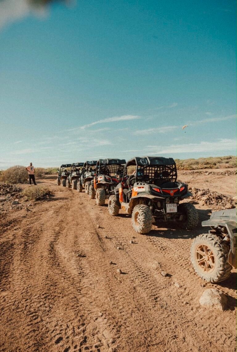Buggy adventure