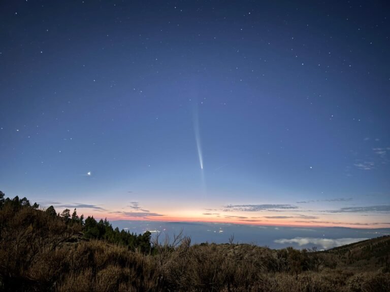 Stargazing experience - Teide National Park