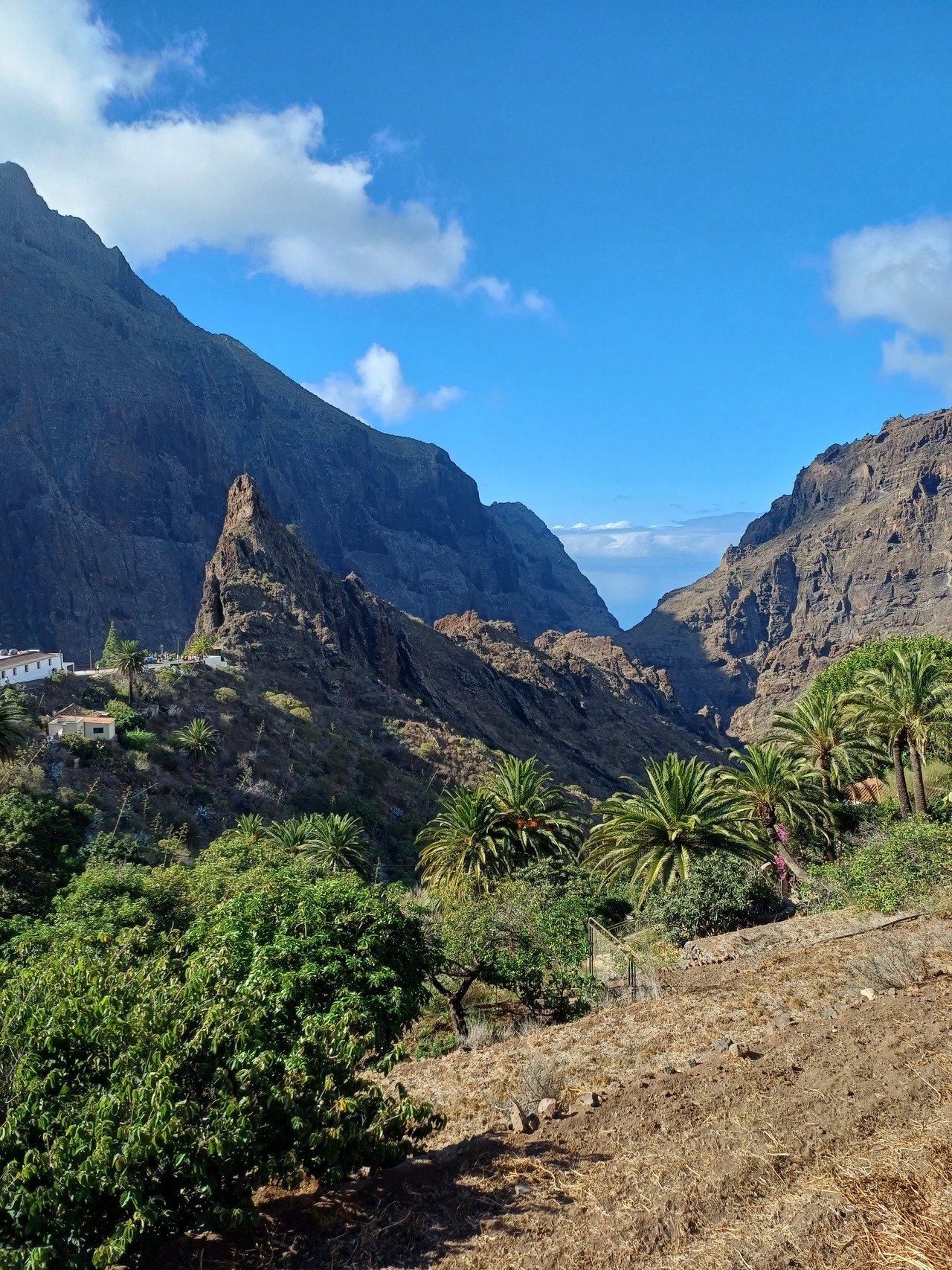 Private Masca village, Garachico & Canarian restaurant - Image 7