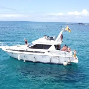 Whales & dolphins in a yacht