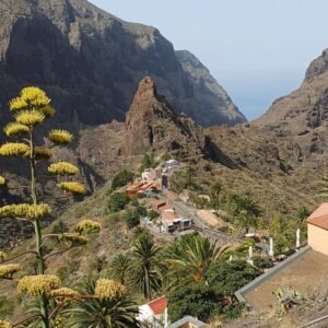 Private Masca, los gigantes & Natural pools