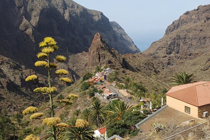 Private Masca, los gigantes & Natural pools