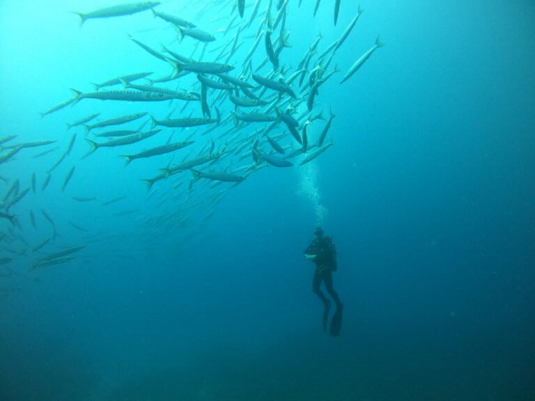 Scuba diving
