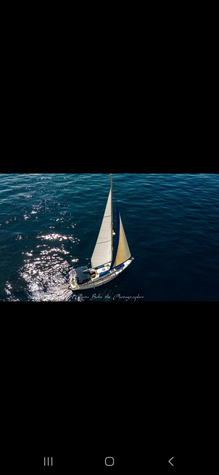 Whales & dolphins - Sailing boat