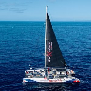Whales & dolphins catamaran