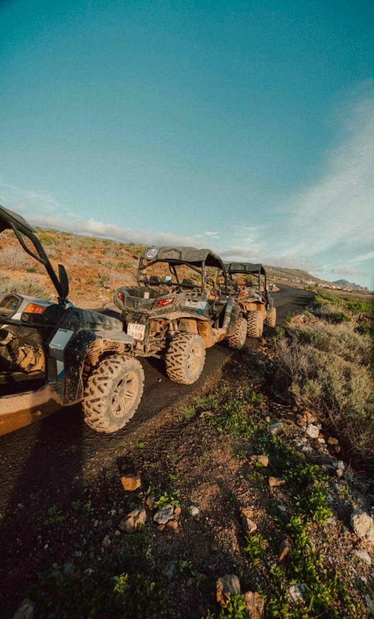 Buggy adventure